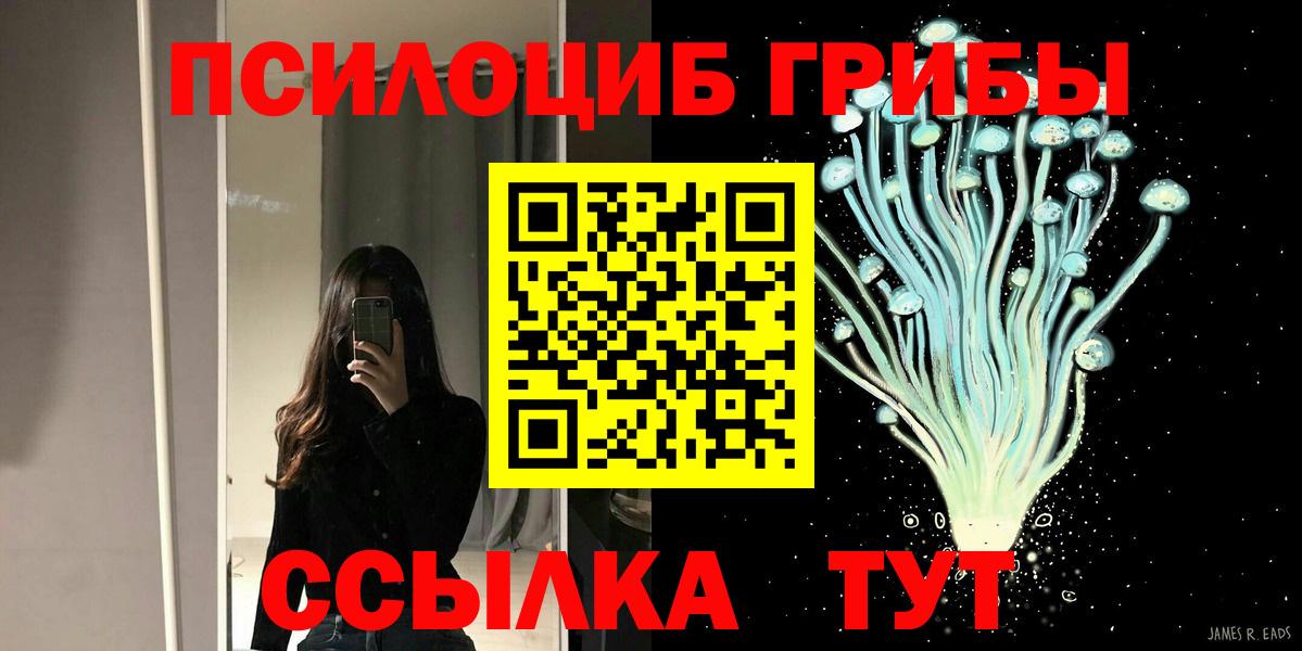 Галлюциногенные грибы прущие грибы Георгиевск